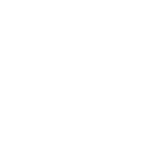 discord icon